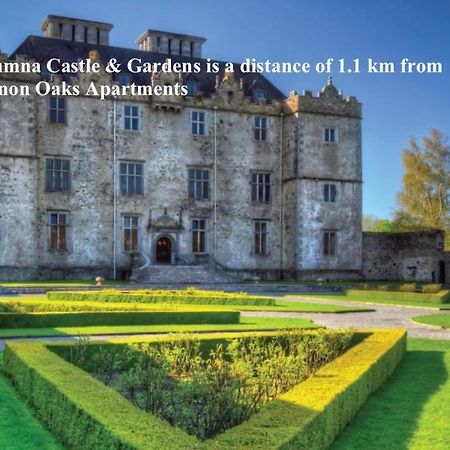 Shannon Oaks Apartments Portumna Zewnętrze zdjęcie