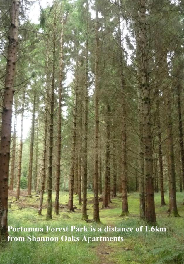 Shannon Oaks Apartments Portumna Zewnętrze zdjęcie