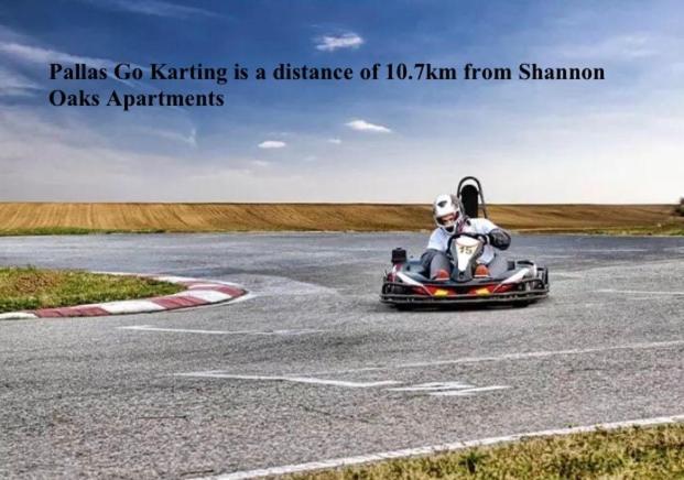 Shannon Oaks Apartments Portumna Zewnętrze zdjęcie