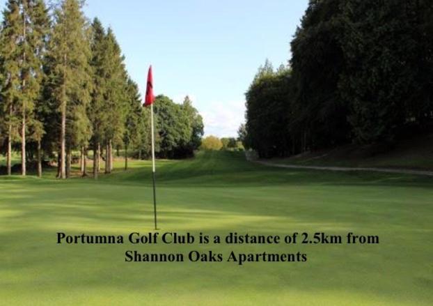 Shannon Oaks Apartments Portumna Zewnętrze zdjęcie